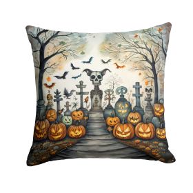 Pet Cemetery Spooky Halloween Throw Pillow Machine Washable, Indoor Outdoor Decorative Pillow for Couch, Bed or Patio, 14Hx14W