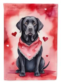 Black Labrador Retriever My Valentine House Flag Large Porch Sleeve Pole Decorative Outside Yard Banner Artwork Wall Hanging, Polyester, House Size (Default: Default)